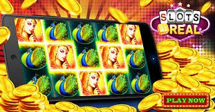 55zzbet 55zzbet